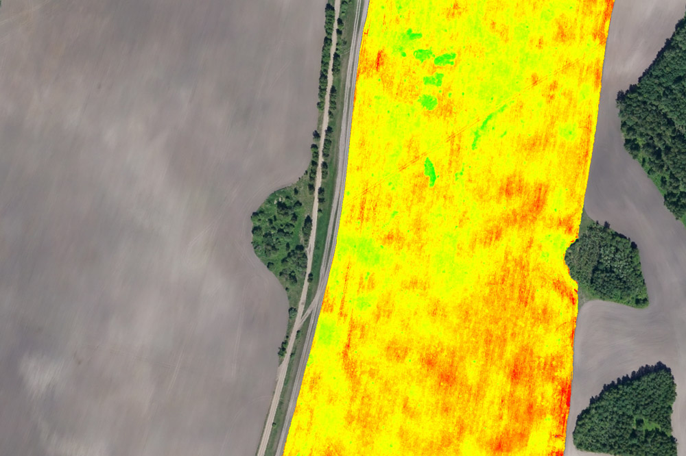 Анализ всхожести посевов, выполняемый с использованием мультиспектральной камеры 